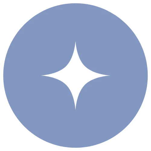 A white four-pointed star shape centered on a solid light blue circle with a white border.