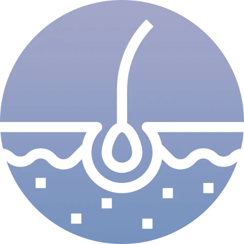 Simple illustration of a hair follicle embedded in skin, with a single hair strand emerging above the surface and small square shapes beneath, symbolizing pores or skin particles.